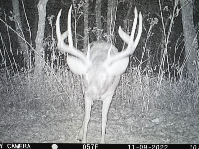 138 +/- acres Hunting Ground